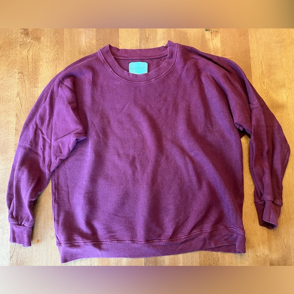 Aliya Wanek Tig sweatshirt